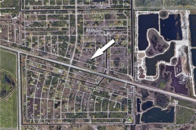 Discover an exceptional opportunity in the rapidly growing on Mirror Lakes Golf Club in Florida - for sale on GolfHomes.com, golf home, golf lot