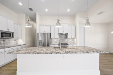 JUST COMPLETED! BRAND NEW, CUSTOM-BUILT 3 BED + DEN, 2 BATH on Rotonda Golf and Country Club - Long Marsh  in Florida - for sale on GolfHomes.com, golf home, golf lot