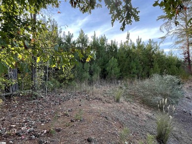 Submit all offers to skylarg Membership provides access to on The Clubs at Cherokee Valley Golf Course in South Carolina - for sale on GolfHomes.com, golf home, golf lot