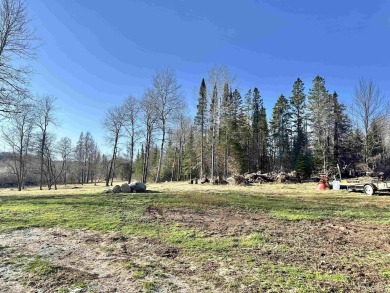 Dare to Dream? Are you looking for a great spot to build your on Eagle Bluff Golf Course in Wisconsin - for sale on GolfHomes.com, golf home, golf lot