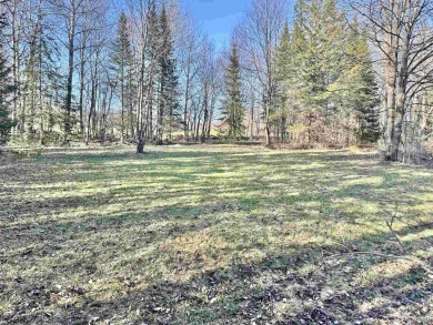 Dare to Dream? Are you looking for a great spot to build your on Eagle Bluff Golf Course in Wisconsin - for sale on GolfHomes.com, golf home, golf lot