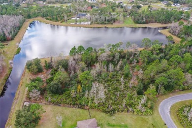 Build your custom dream home on this 1.98 acre lot backed on to on Wedgefield Golf Club in Florida - for sale on GolfHomes.com, golf home, golf lot