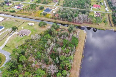 Build your custom dream home on this 1.98 acre lot backed on to on Wedgefield Golf Club in Florida - for sale on GolfHomes.com, golf home, golf lot