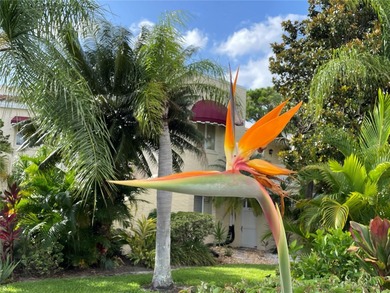 BEAUTIFUL VIZCAYA BOUGAINVILLEA UNIT. This first-floor unit on IMG Academies Golf and Country Club in Florida - for sale on GolfHomes.com, golf home, golf lot