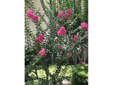 BEAUTIFUL VIZCAYA BOUGAINVILLEA UNIT. This first-floor unit on IMG Academies Golf and Country Club in Florida - for sale on GolfHomes.com, golf home, golf lot