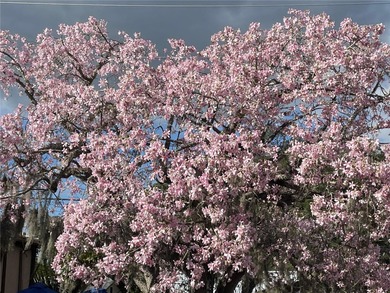 BEAUTIFUL VIZCAYA BOUGAINVILLEA UNIT. This first-floor unit on IMG Academies Golf and Country Club in Florida - for sale on GolfHomes.com, golf home, golf lot