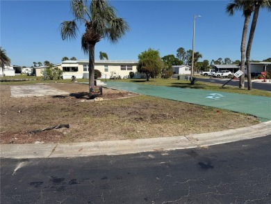 **Build Your Dream Home in Paradise** Welcome to Caribbean Isles on Apollo Beach Golf and Sea Club in Florida - for sale on GolfHomes.com, golf home, golf lot