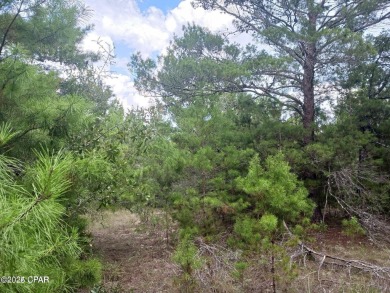 Offering an opportunity to own an oversized half acre and on Sunny Hills Golf and Country Club in Florida - for sale on GolfHomes.com, golf home, golf lot