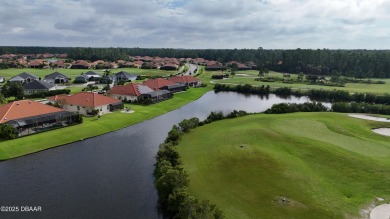 Welcome to Portofino Reserve in Venetian Bay, New Smyrna Beach's on Venetian Bay Golf Course in Florida - for sale on GolfHomes.com, golf home, golf lot