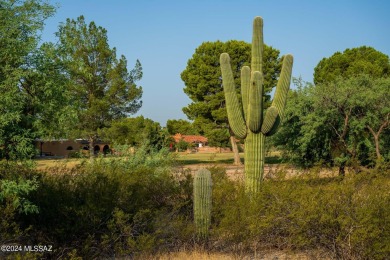 Nice sloped lot towards the golf course in Forty Niners Country on Forty Niner Golf and Country Club in Arizona - for sale on GolfHomes.com, golf home, golf lot