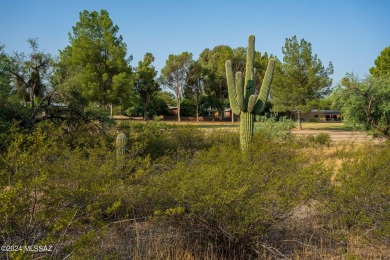 Nice sloped lot towards the golf course in Forty Niners Country on Forty Niner Golf and Country Club in Arizona - for sale on GolfHomes.com, golf home, golf lot