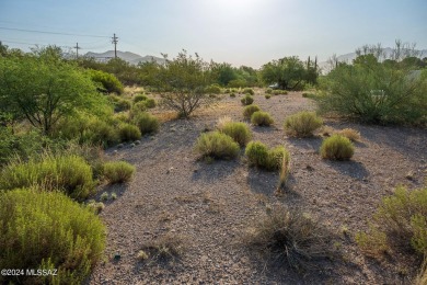 Nice sloped lot towards the golf course in Forty Niners Country on Forty Niner Golf and Country Club in Arizona - for sale on GolfHomes.com, golf home, golf lot