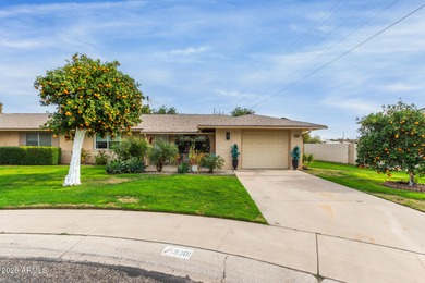 Enjoy easy living in this charming 2-bedroom Gemini home with a on Sun City Country Club in Arizona - for sale on GolfHomes.com, golf home, golf lot