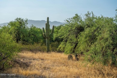 Nice sloped lot towards the golf course in Forty Niners Country on Forty Niner Golf and Country Club in Arizona - for sale on GolfHomes.com, golf home, golf lot