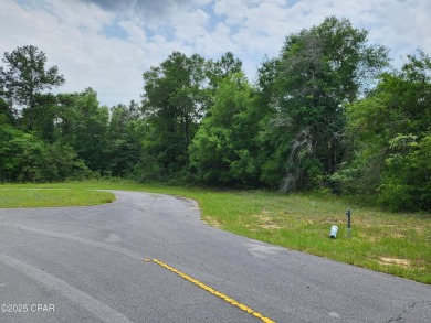 Nearly Half-Acre Lot on Quiet Cul-de-Sac - Less Than 1/2 Mile on Sunny Hills Golf and Country Club in Florida - for sale on GolfHomes.com, golf home, golf lot