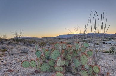 This is your opportunity to own a 2.5 Acre residential lot on on Lajitas Golf Resort in Texas - for sale on GolfHomes.com, golf home, golf lot