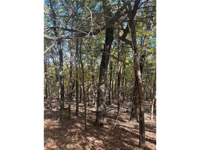 Discover your private woodland retreat with seasonal long-range on The Highlands Course at Lake Arrowhead in Georgia - for sale on GolfHomes.com, golf home, golf lot