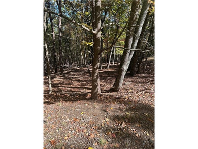 Discover your private woodland retreat with seasonal long-range on The Highlands Course at Lake Arrowhead in Georgia - for sale on GolfHomes.com, golf home, golf lot