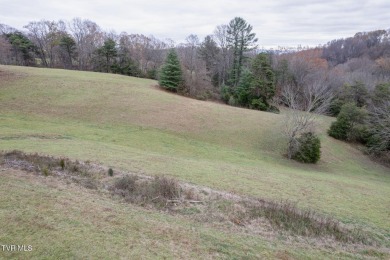 Beautiful 19.68 acres that joins Clear Creek Golf course. Build on Clear Creek Golf Club in Virginia - for sale on GolfHomes.com, golf home, golf lot