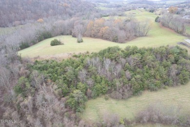 Beautiful 19.68 acres that joins Clear Creek Golf course. Build on Clear Creek Golf Club in Virginia - for sale on GolfHomes.com, golf home, golf lot