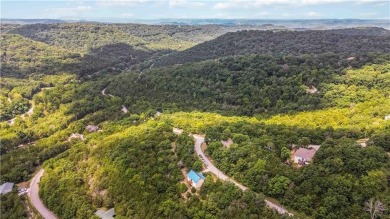 Affordable Lake Life with a View -- Minutes from Table Rock & on Holiday Island Executive Golf Course in Arkansas - for sale on GolfHomes.com, golf home, golf lot