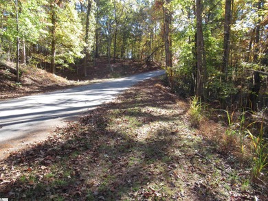 Nice building lot, wooded but not overgrown. Chickasaw Point is on The Trail At Chickasaw Pointe in South Carolina - for sale on GolfHomes.com, golf home, golf lot