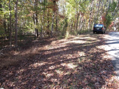 Nice building lot, wooded but not overgrown. Chickasaw Point is on The Trail At Chickasaw Pointe in South Carolina - for sale on GolfHomes.com, golf home, golf lot