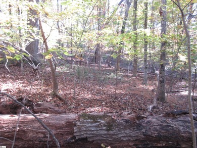 Nice building lot, wooded but not overgrown. Chickasaw Point is on The Trail At Chickasaw Pointe in South Carolina - for sale on GolfHomes.com, golf home, golf lot