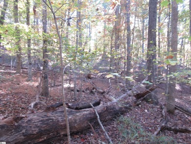 Nice building lot, wooded but not overgrown. Chickasaw Point is on The Trail At Chickasaw Pointe in South Carolina - for sale on GolfHomes.com, golf home, golf lot