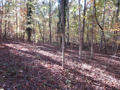 Nice building lot, wooded but not overgrown. Chickasaw Point is on The Trail At Chickasaw Pointe in South Carolina - for sale on GolfHomes.com, golf home, golf lot