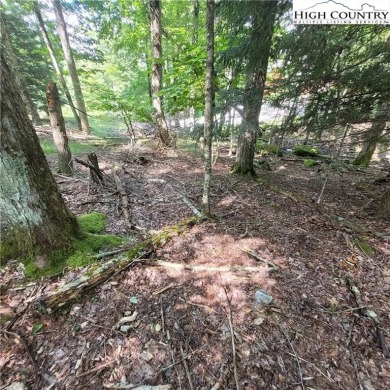 Priced to sell!  This gentle uphill lot near the Beech Mountain on Beech Mountain Club in North Carolina - for sale on GolfHomes.com, golf home, golf lot