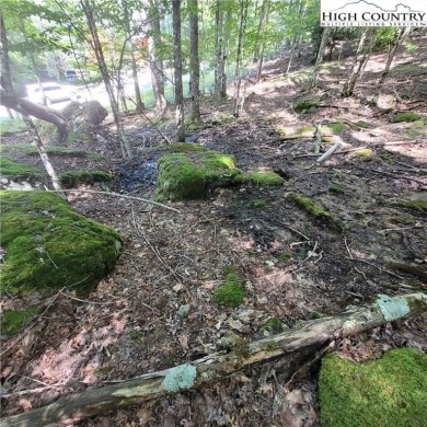 Priced to sell!  This gentle uphill lot near the Beech Mountain on Beech Mountain Club in North Carolina - for sale on GolfHomes.com, golf home, golf lot