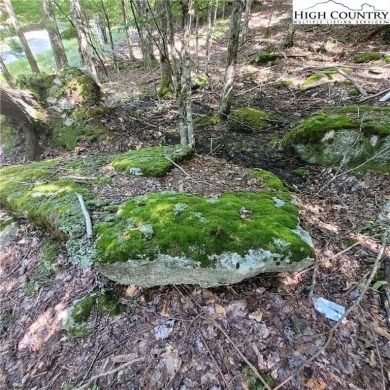 Priced to sell!  This gentle uphill lot near the Beech Mountain on Beech Mountain Club in North Carolina - for sale on GolfHomes.com, golf home, golf lot