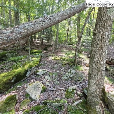 Priced to sell!  This gentle uphill lot near the Beech Mountain on Beech Mountain Club in North Carolina - for sale on GolfHomes.com, golf home, golf lot