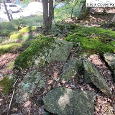 Priced to sell!  This gentle uphill lot near the Beech Mountain on Beech Mountain Club in North Carolina - for sale on GolfHomes.com, golf home, golf lot