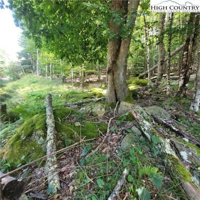 Priced to sell!  This gentle uphill lot near the Beech Mountain on Beech Mountain Club in North Carolina - for sale on GolfHomes.com, golf home, golf lot