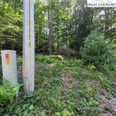 Priced to sell!  This gentle uphill lot near the Beech Mountain on Beech Mountain Club in North Carolina - for sale on GolfHomes.com, golf home, golf lot