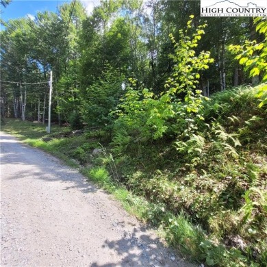 Priced to sell!  This gentle uphill lot near the Beech Mountain on Beech Mountain Club in North Carolina - for sale on GolfHomes.com, golf home, golf lot