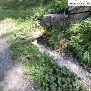 Priced to sell!  This gentle uphill lot near the Beech Mountain on Beech Mountain Club in North Carolina - for sale on GolfHomes.com, golf home, golf lot