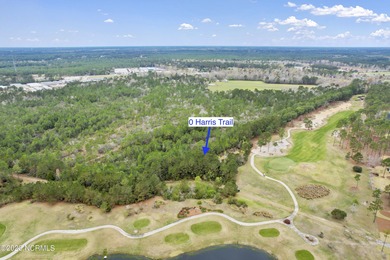 Here it is!! This stunning 13.12-acre property not only offers on Sea Trail Golf Resort in North Carolina - for sale on GolfHomes.com, golf home, golf lot