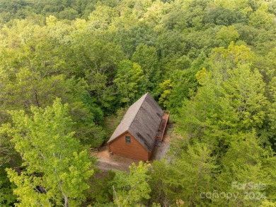 Located outside the gates but within the resort community of on Rumbling Bald Resort on Lake Lure in North Carolina - for sale on GolfHomes.com, golf home, golf lot