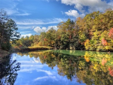 Overlooking a serene hidden lake-known by some residents as on White Path Golf Club in Georgia - for sale on GolfHomes.com, golf home, golf lot