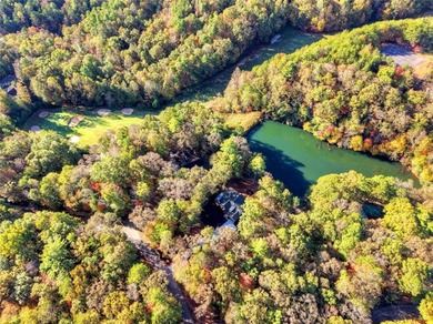 Overlooking a serene hidden lake-known by some residents as on White Path Golf Club in Georgia - for sale on GolfHomes.com, golf home, golf lot