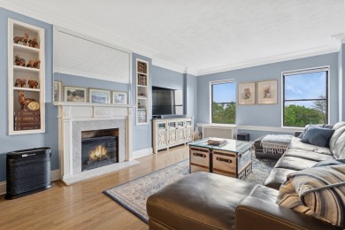 Experience vintage charm and thoughtful updates in this spacious on Jackson Park Golf Course in Illinois - for sale on GolfHomes.com, golf home, golf lot