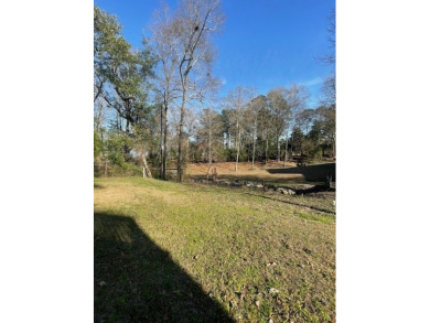 Situated along the waters edge in the prestigious neighborhood on Red Eagle Golf Course in Alabama - for sale on GolfHomes.com, golf home, golf lot