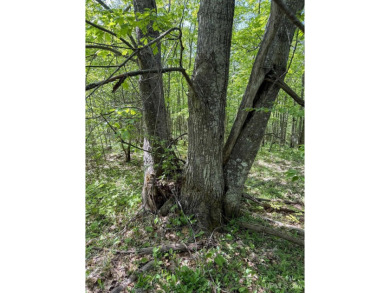 This attractive Keweenaw parcel is ready for your next getaway on Sandy Pebbles Golf Course in Michigan - for sale on GolfHomes.com, golf home, golf lot