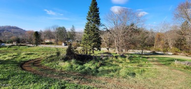 Take a look at this .957ac lot, zoned R1, conveniently located on Clear Creek Golf Club in Virginia - for sale on GolfHomes.com, golf home, golf lot