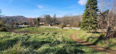 Take a look at this .957ac lot, zoned R1, conveniently located on Clear Creek Golf Club in Virginia - for sale on GolfHomes.com, golf home, golf lot