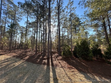 Beautiful 3 bedroom 2.5 bath Ranch home WITH finished bonus on Deercroft Golf and Country Club in North Carolina - for sale on GolfHomes.com, golf home, golf lot