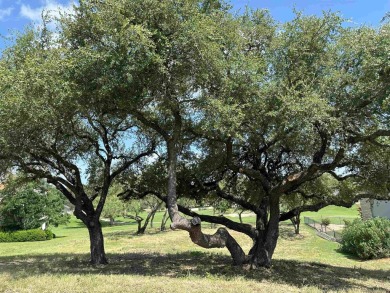 Build your dream home on this exceptional golf course lot on Slick Rock Golf Course - Horseshoe Bay in Texas - for sale on GolfHomes.com, golf home, golf lot